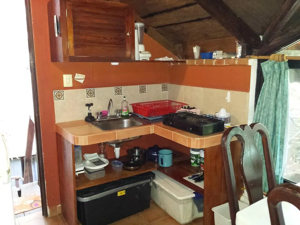 女人岛Sol Dorado公寓式酒店 女人岛