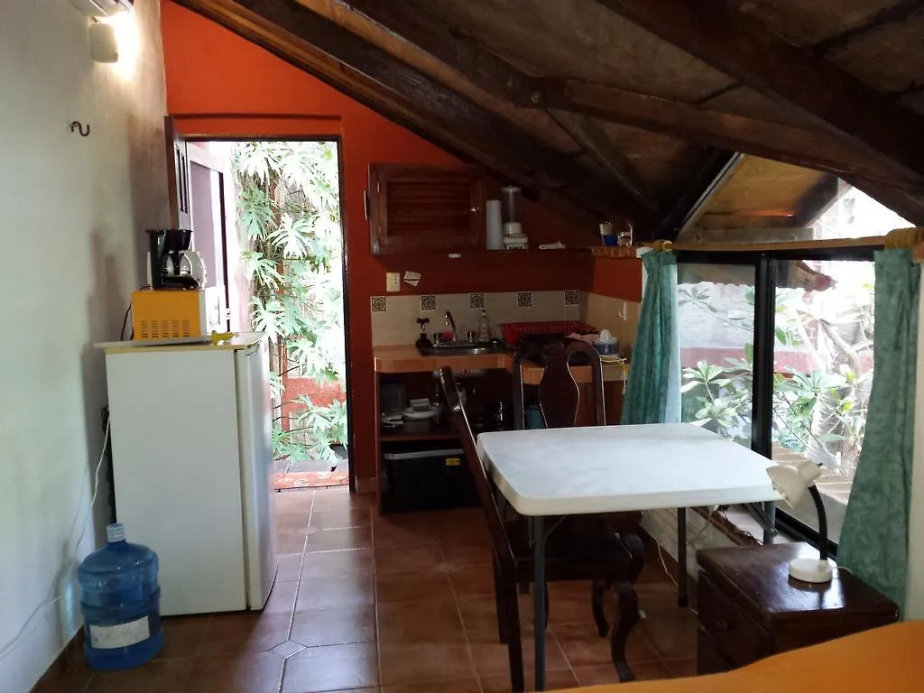 公寓式酒店 女人岛Sol Dorado公寓式酒店